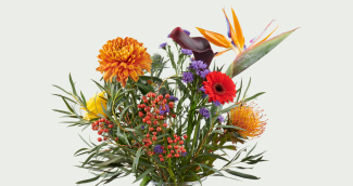 Bouquets d'automne