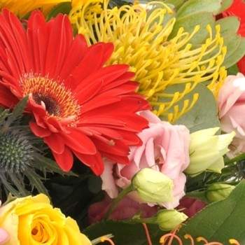 Bouquet coloré