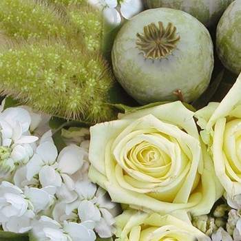 Bouquet blanc