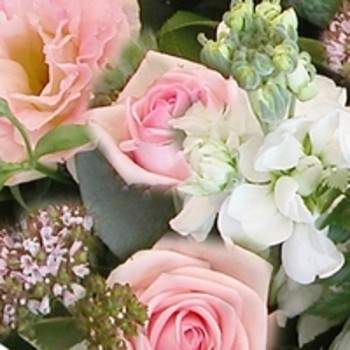 Bouquet rose