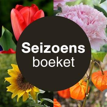 Bouquet de saison