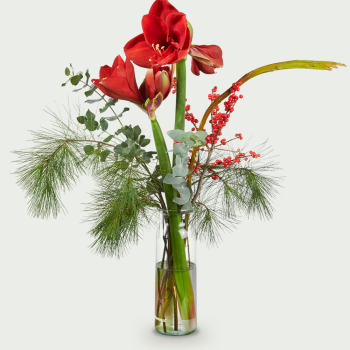 Bouquet Annette rouge