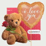 Valentijnscadeau I love you beary much